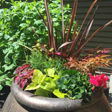 Container Gardens