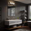 ExBrite Modern Style 3-Lights LED Bathroom Vanity Light, Black