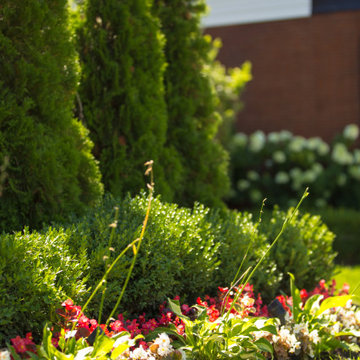 Floral arrangements
