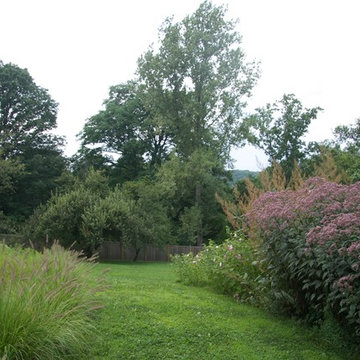 Teardrop Meadow
