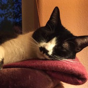 Jean Oldham's photo