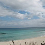 Daniel Rock's photo