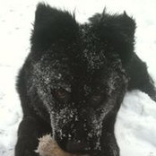 Christopher Hendel's photo