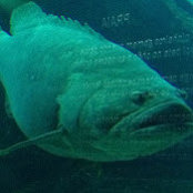Jirka Schaefer's photo