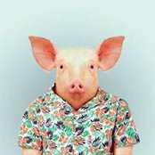Gavin Doughtys foto