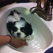 Isabel Chauca's photo