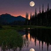 Nick Lonsdale's photo