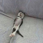 Jennifer Beaty's photo
