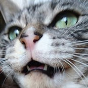 Tim Favro's photo