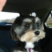 Paula Wallace's photo
