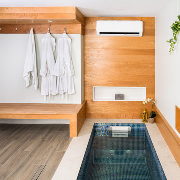 Aggasiz Renovation