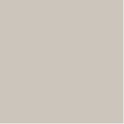 Benjamin Moore London Fog 1541 - Paint