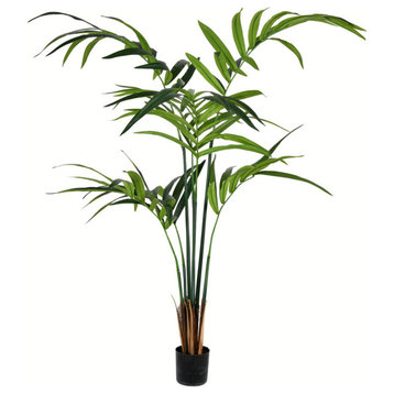 5' Potted Kentia Palm 88 Leaves