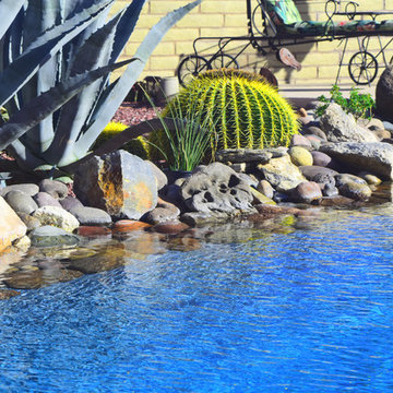 Custom Pools, Stream, Water Feature