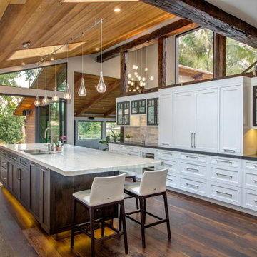 Modern Remodel - Carlsbad
