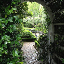 Charleston gardens