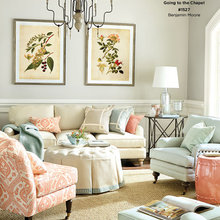 Living Room Ideas