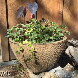 Water Gardening - Outdoor Fountain And Pond Accessories