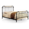 Furniture of America Cecil Transitional Metal Bed King Spindle in Antique Black