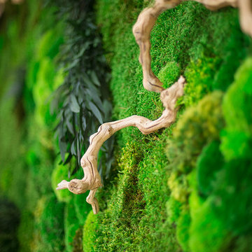 Preserved Moss Wall Art