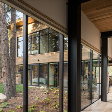 Arboreal House