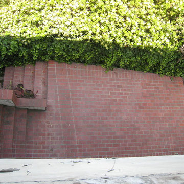 1907 Lucile Ave. All Spaces
