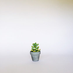 2" Classic Concrete Pot / Light Gray - Indoor Pots And Planters