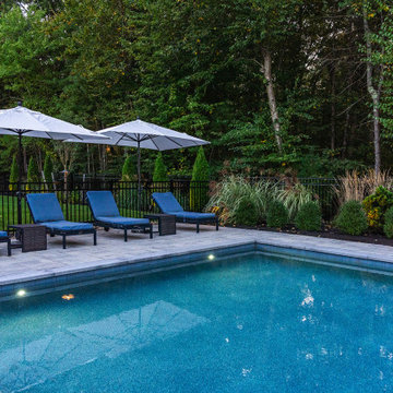 North Reading Backyard Pool Oasis