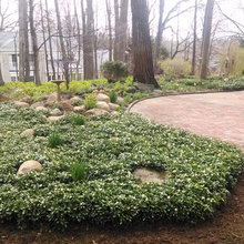 Log Cabin Landscaping