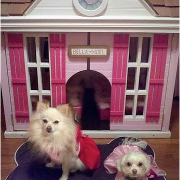 JWoww Dog House
