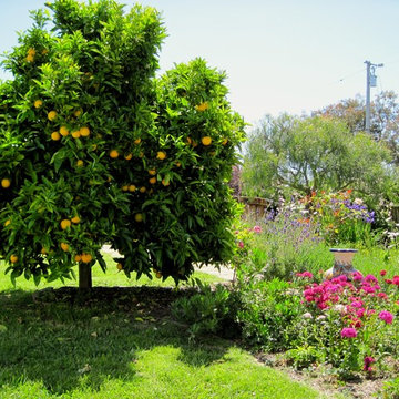 Mediterranean cottage garden design