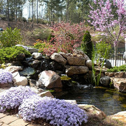 Phlox Pond - Outdoor Products