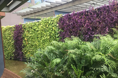 Photo of a coastal landscaping in Kolkata.