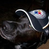 Kenneth Krueger's photo