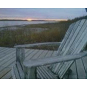 Nikki Golnik's photo