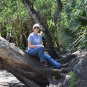 Lisa Rogers's photo