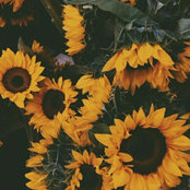 Foto de Amandla Elise