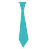 BlueTie Geekss foto