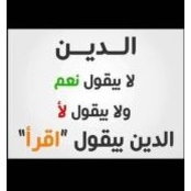 Mohamed Shawki's photo