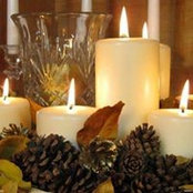 Tonya Scheid's photo