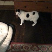 Sharon Hardie's photo