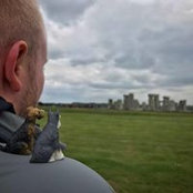 Sterling Goodwin's photo