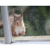 Evelyn Moorkens's photo