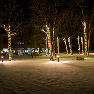 Branch Wrapping