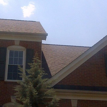 Client Gallery Pictures