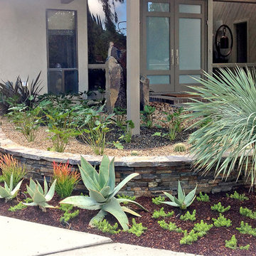 Drought Tolerant Landscape--Front Yard
