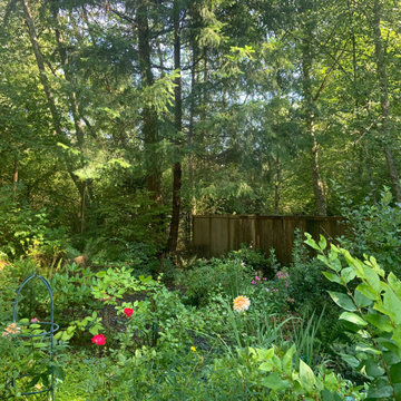 Woodland Meets Backyard