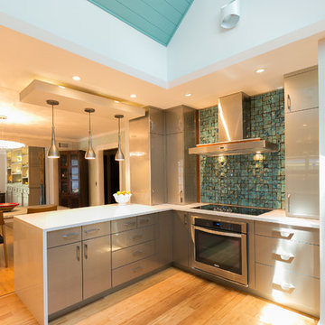 Contemporary and transitional kitchens