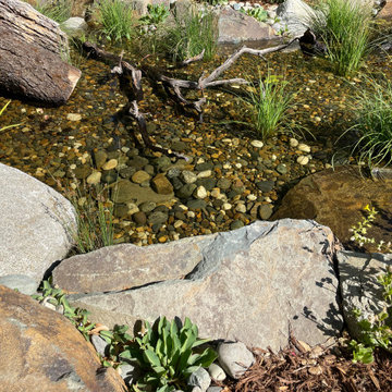 Slug Gulch Recreation Pond