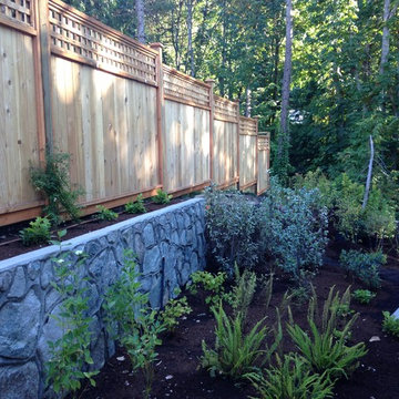 Renaturalisation of a backyard